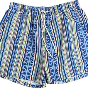 Southern Marsh Men's Blue Multi-Stripe Athletic Shorts